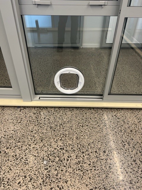 Pet door fitted into an aluminium sliding door glass panel